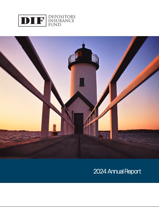 Annual Report Cover showing DIF logo.